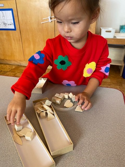A child organizing mixed materials
